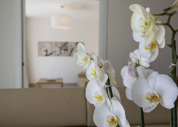 호텔 Delta 아스꼬나