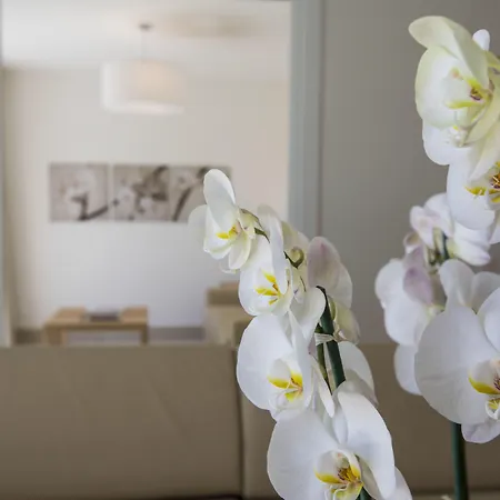 Отель Delta Аскона